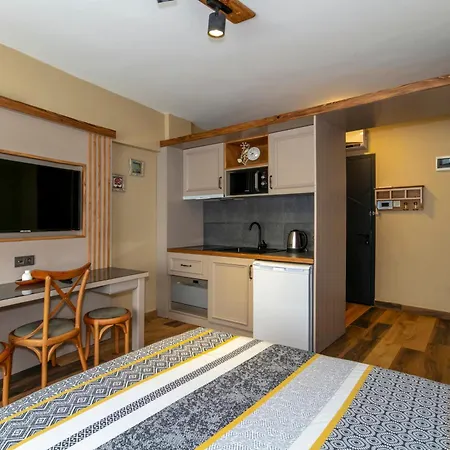 Apartment Kadikoey Modern Loft & Equipped